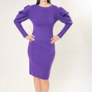 Area Stars Purple Puff Sleeve Knit Knee-Length Dress, Women's Size Medium